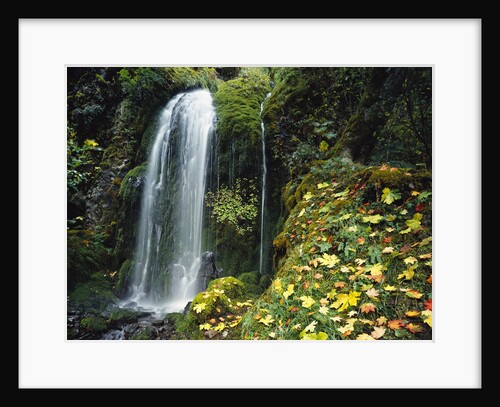 Lush Waterfall in Autumn by Anonymous