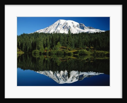 Mt. Rainier Reflecting in Lake by Anonymous