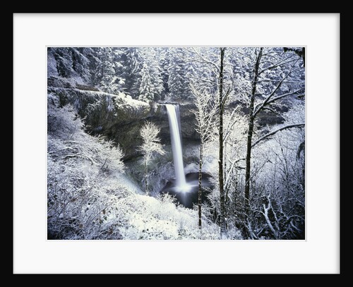 Forest Surrounding Wintry Waterfall by Anonymous