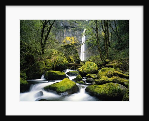 Stream Flowing over Mossy Rocks by Anonymous