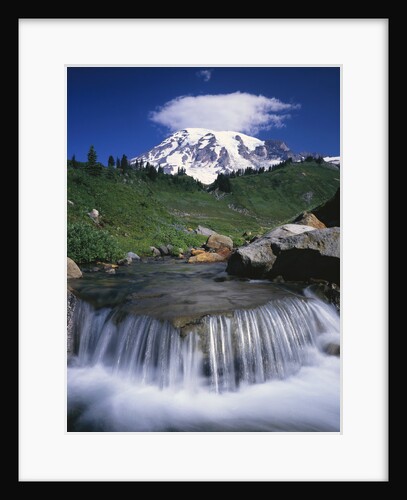 Mt. Rainier Rising above Valley by Anonymous