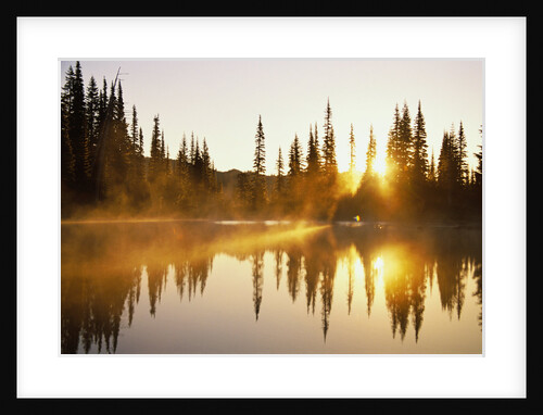 Sun Rising over Pond by Anonymous