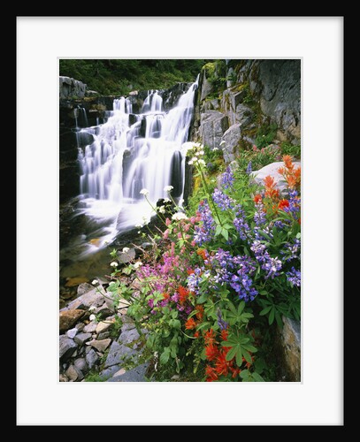 Wildflowers in Bloom by Waterfall by Anonymous