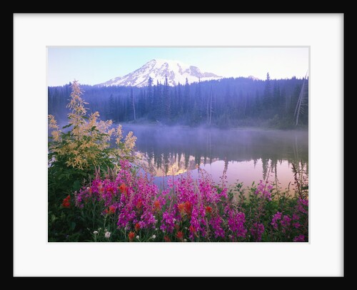Wildflowers in Bloom by Lake on Mount Rainier by Anonymous
