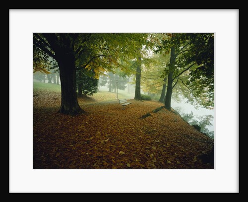 Quiet Park in Autumn by Anonymous