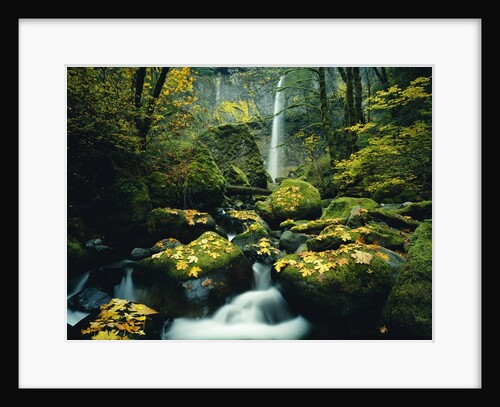 Stream and Waterfall in Autumn by Anonymous