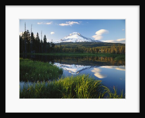Mount Hood Reflected in Beaver Pond by Anonymous