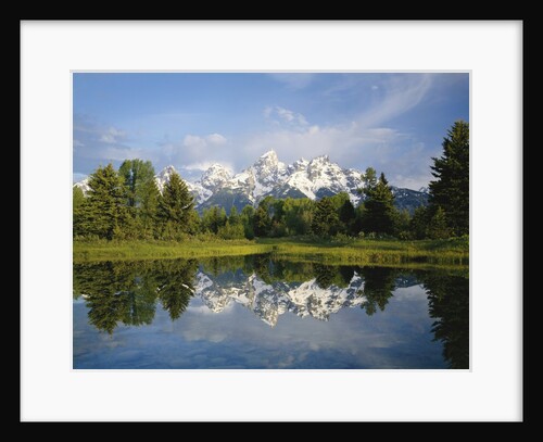 Beaver Pond with Teton Range in Distance by Anonymous