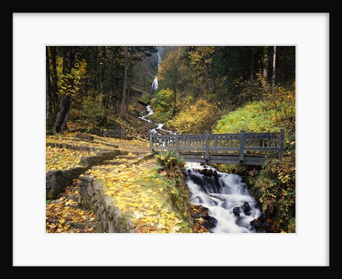 Wooden Bridge along Wahkeena Falls by Anonymous