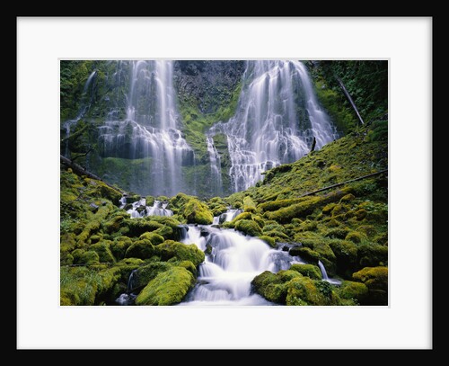 Water Cascading Down Proxy Falls by Anonymous