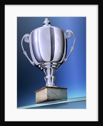 Shiny Trophy by Anonymous