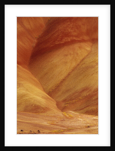 Painted Hills by Anonymous