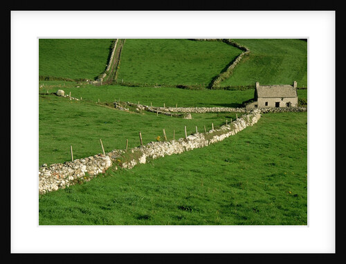 Abandoned Farmhouse in County Cork by Anonymous