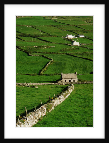 Abandoned Farmhouse in the Irish Countryside by Anonymous