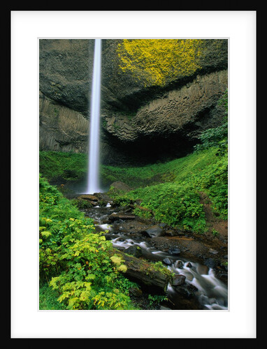 Latourell Falls in Columbia River Gorge by Anonymous