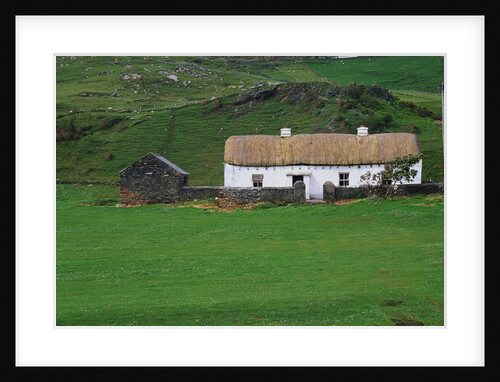 Ireland Countryside by Anonymous