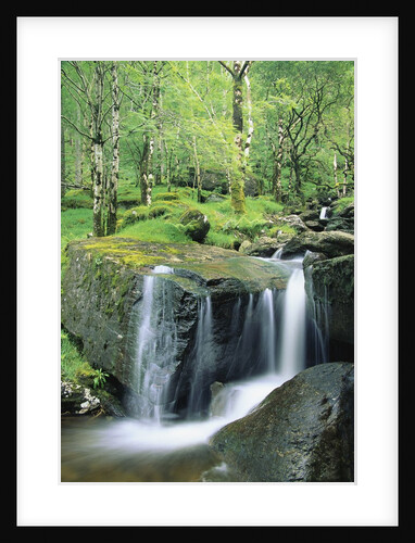 Gougane Barra Forest Park Waterfall by Anonymous