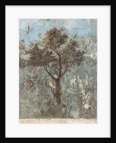 Roman Fresco of Tree with Birds by Anonymous