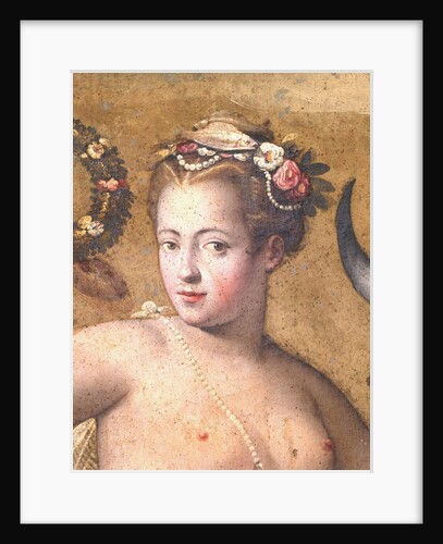 Venus from the Salon of the Muses in the Villa Medici in Florence by Anonymous