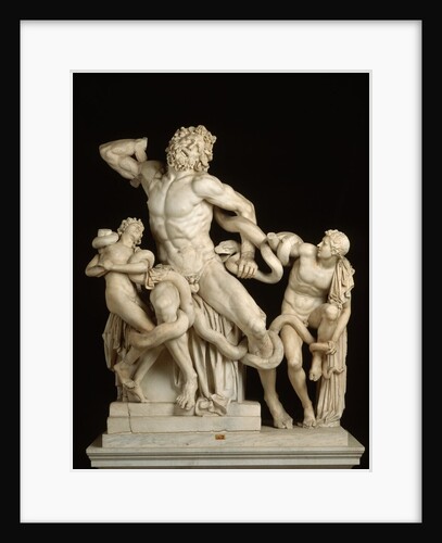 The Laocoon Group by Anonymous