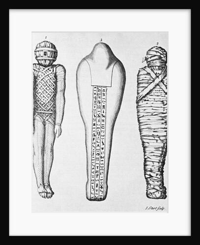 Three Stages of Embalming by Anonymous