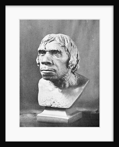 Bust of Prehistoric Man by Anonymous