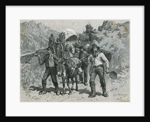 Illustration of California Prospectors by Allen Carter Redwood