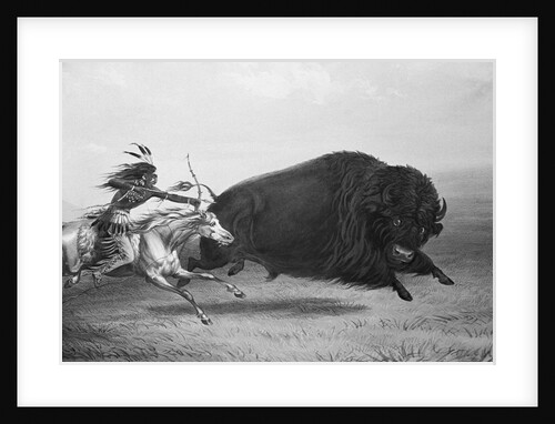 Indian Trying to Kill Buffalo by Anonymous