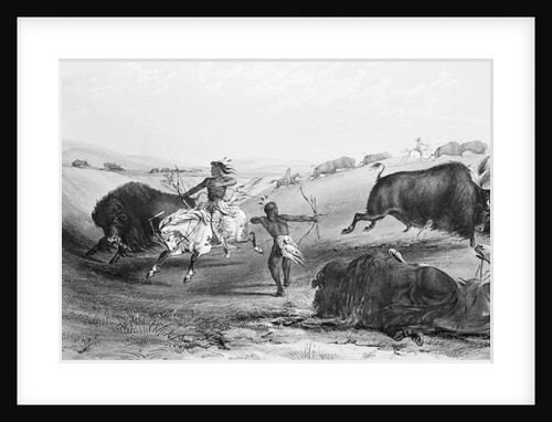 Indians Killing Buffalos by Anonymous