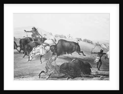 Buffalo Fighting with Indians by Anonymous