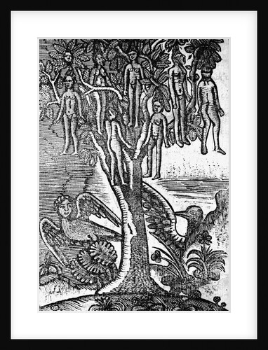 Illus Of Wak Wak Tree W/Human Fruit by Anonymous