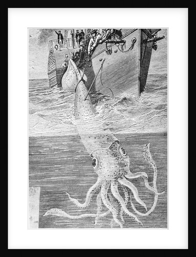 Illustration of the Crew of the Alecton Attempting to Catch a Giant Squid by Anonymous