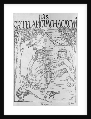 Depiction of Incans Cultivating Medicinal Herbs by Anonymous