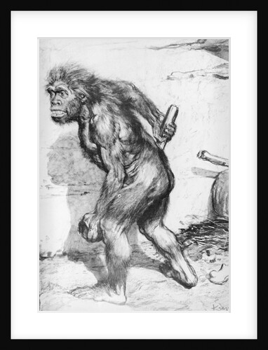 Portrait of Prehistoric Man by Anonymous