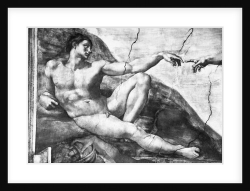 Detail of Creation of Adam by Michelangelo