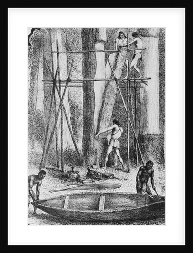 Amazon Indians Constructing Bark Canoes by Anonymous