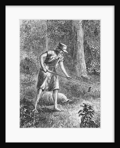 Johnny Appleseed Planting Apple Seeds in Wilderness by Anonymous