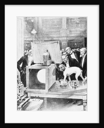 Dog Being Experimented on by Scientist by Anonymous