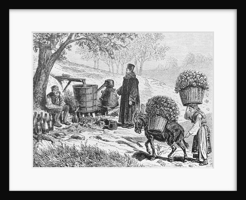 Distilling of Roses by Anonymous
