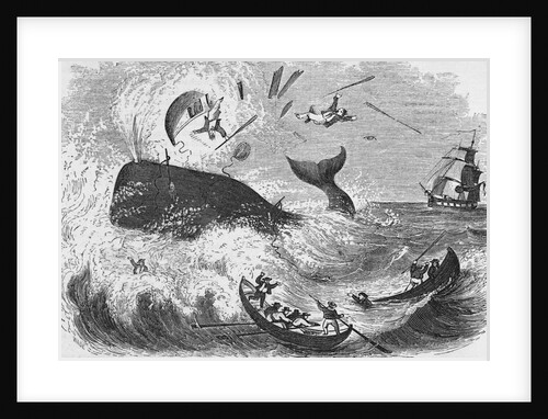 Whaling, The Flurry, Woodcut by Anonymous