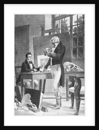 Print of Georges Cuvier Examining Animal Fossils by Anonymous