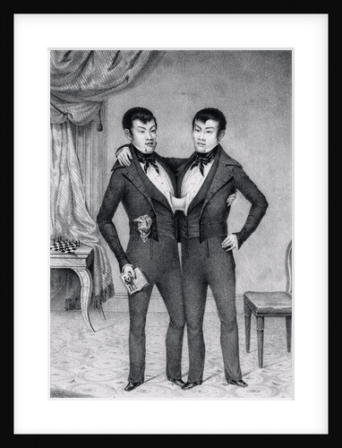 Depiction of Asian Siamese by Anonymous
