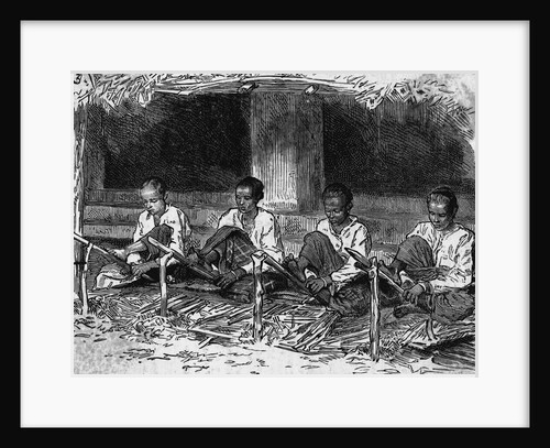Young Ceylonese Natives Preparing Bark for Trade by Anonymous