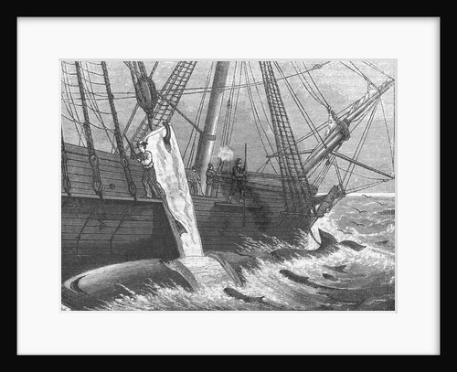Whale Fishing by Anonymous