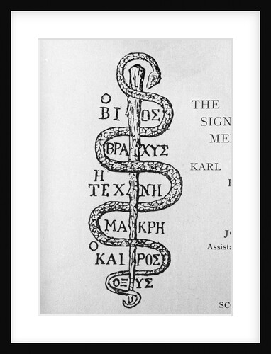 Serpent of Aesculapius by Anonymous