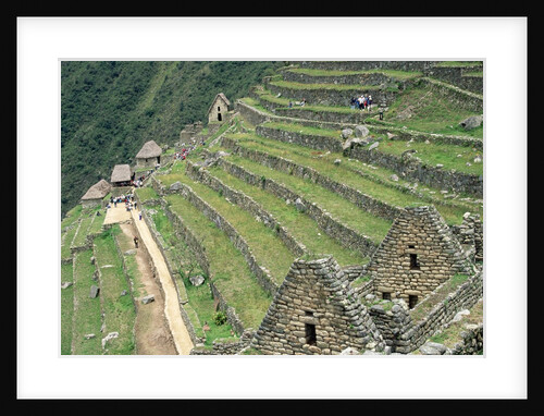 Terraced Fields at Machu Picchu by Anonymous