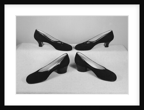 Ferragamo Shoes by Anonymous