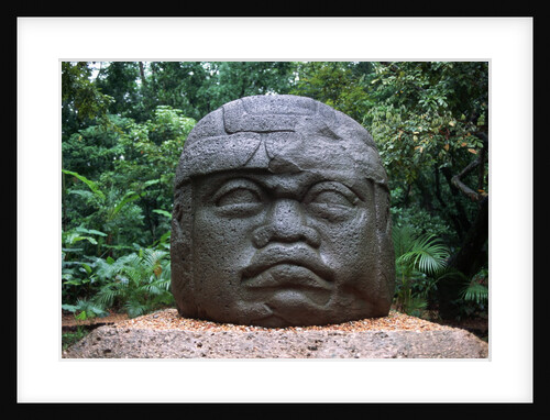 Giant Olmec Head at La Venta Park by Anonymous