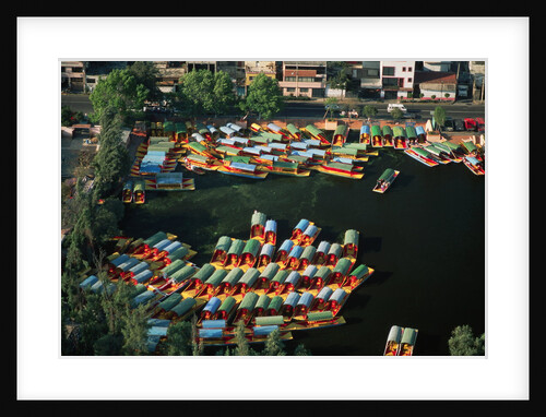 Aerial of Xochimilco Floating Gardens by Anonymous