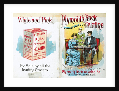 Advertisement for Plymouth Rock Phosphated Gelatine by Anonymous